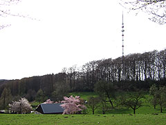 Der Sender Langenberg