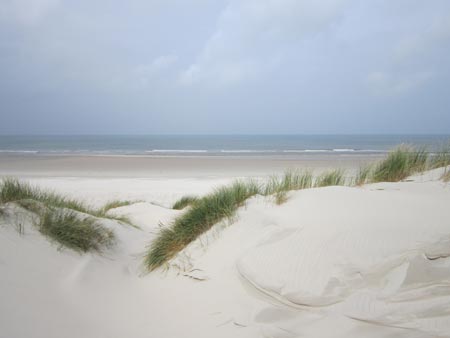 Dünenstrand von Texel, Foto: VVV Texel