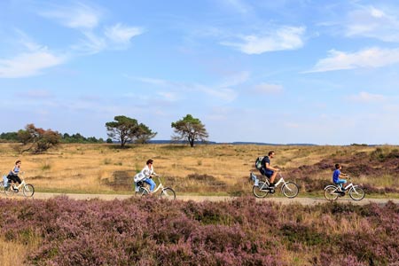 Die berühmten Fahrräder des Nationalparks, Foto: Nationale Park De Hoge Veluwe