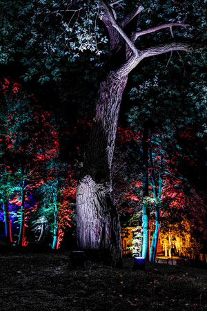 Wunderschöne Lichter beim Stadtwerke Hemer HerbstLichtgarten, Foto: SPH/Tölle-Studios