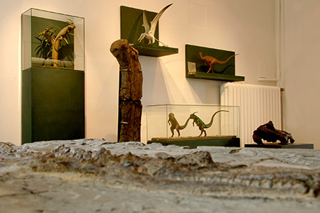 Dinosaurier im Mineralien-Museum in Essen, Fotocredit: Rainer Rothenberg
