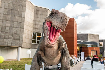 Raptor im Naturmuseum Dortmund, Foto: Roland Gorecki