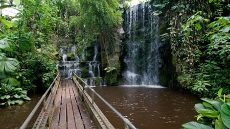 Regenwald-Atmosphäre mit Wasserfall, Foto: @ Burgers’ Zoo