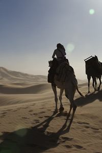 Königin der Wüste, Foto: Prokino Filmverleih/ Goldmann Verlag