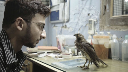 Ein Mann schaut einem Vogel in die Augen Foto: Film Festival Cologne