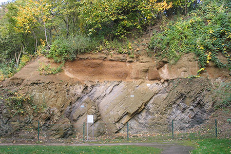 Diskordanz zwischen den gefalteten karbonzeitlichen Schichten (unten) und den kreidezeitlichen Schichten (oben). Foto: Gabriele Wolf, Stadt Bochum