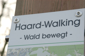 Nordic Walking in der Westruper Heide