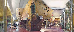 In allen Schwierigkeitsgraden klettern in der Boulderhalle citymonkey Kinder wie Profis durch die einmalig gestaltete Landschaft