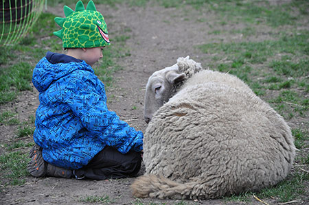 Kind und Schaf auf dem Lernbauernhof, Fotocredit: Elmar Schulte-Tigges