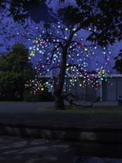 Claudia Wissmann, Glitzerbaum, 2004, Temporäre Lichtinstallation und Lichtaktion, Entwurf für den Skulpturenhof der Stiftung Wilhelm Lehmbruck Museum, Computermontage, Stiftung Wilhelm Lehmbruck Museum, Duisburg