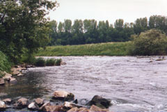 Die Lippe fließt durch das nördliche Ruhrgebiet