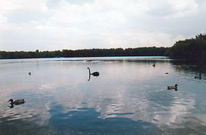 Sechs-Seen-Platte in Duisburg