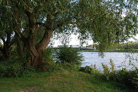 Das Ufer der Ruhr, pixabay, Nopse
