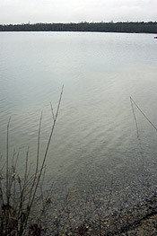 Der Silbersee III dient als Naherholungs- und Naturschutzgebiet