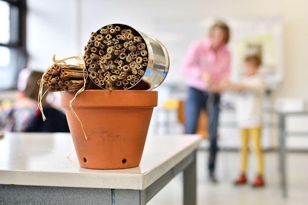 Bochum blüht und summt – Insektenhotels selber bauen