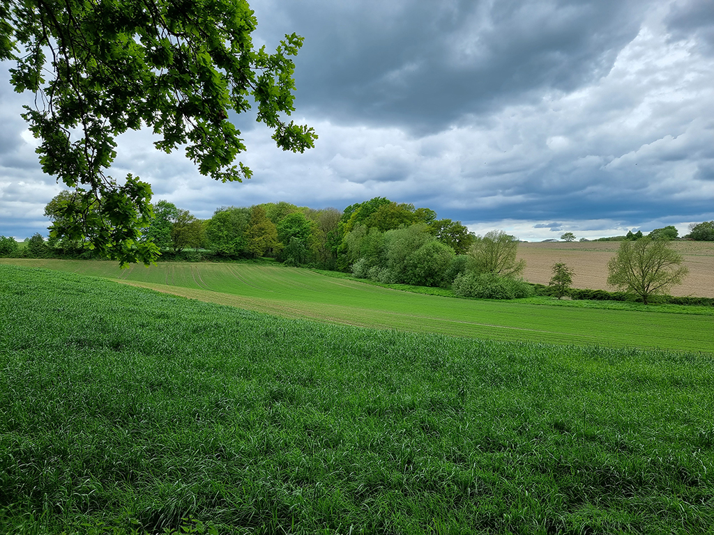 Felder und Wiesen im Langeloh-Tal in Castrop, Foto: C.Jaquet