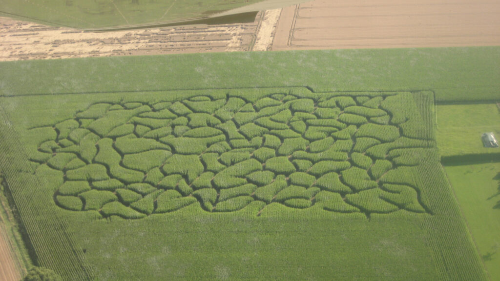 Das Maisfeld von 2014 aus der Luftperspektive, Foto: Beate Eickhoff