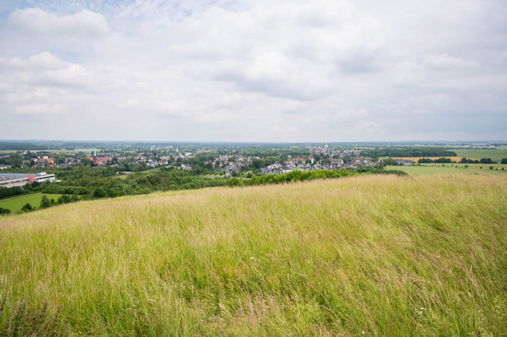 Der Ausblick vom Gipfel der Halde Schleswig Bild: Stadt Dortmund / Roland Gorecki
