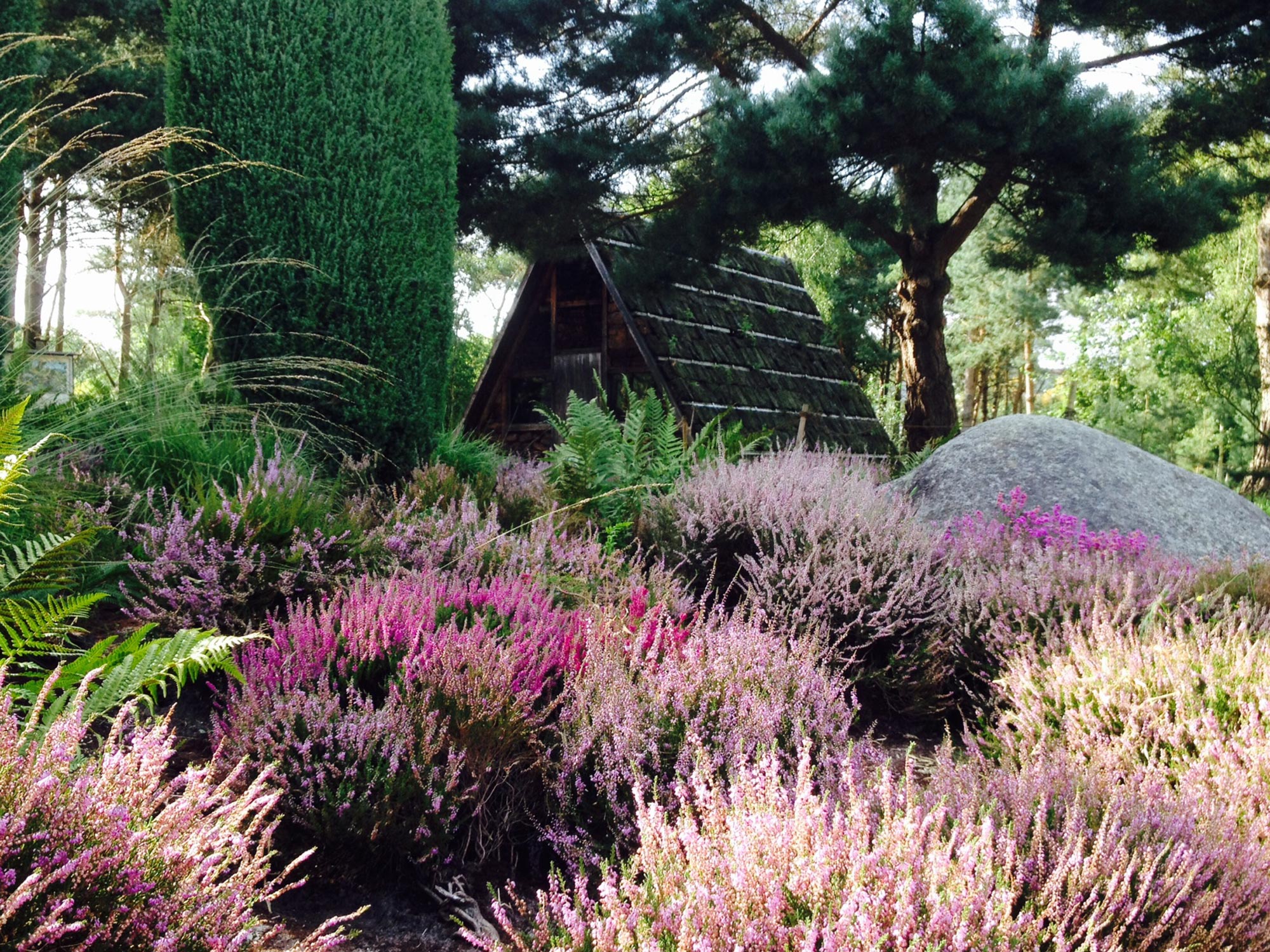 Ausstellung: Der traditionelle Heidemarkt lockt am Wochenende in den Botanischen Garten Rombergpark