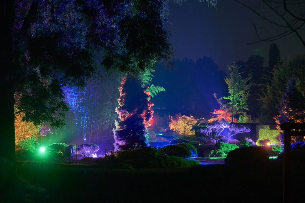 Zum Anlass des Lichtfestival wird die dunkle Kulisse in einem Waldstück nahe des Schlosses Dyck durch bunte Farben hell erleuchtet.
(Foto: Stiftung Schloss Dyck)